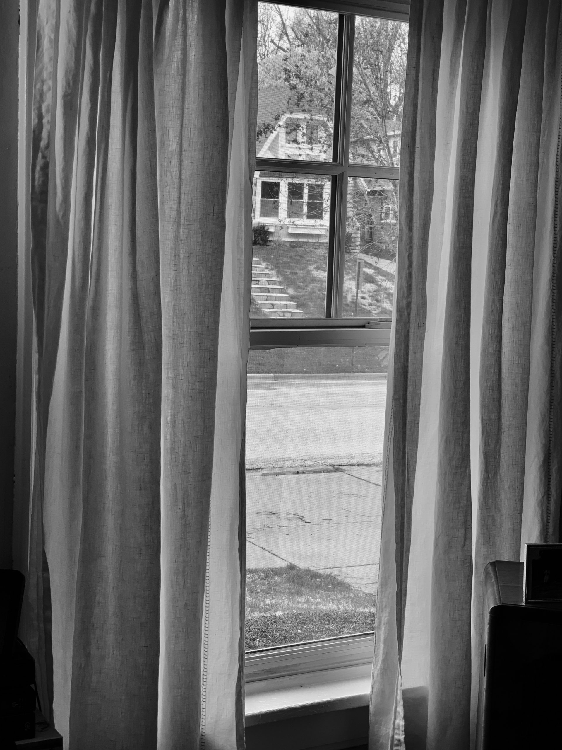 black and white looking out a window